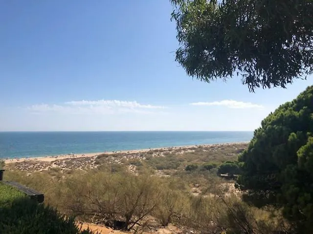 Beachouse Algarve 펜션